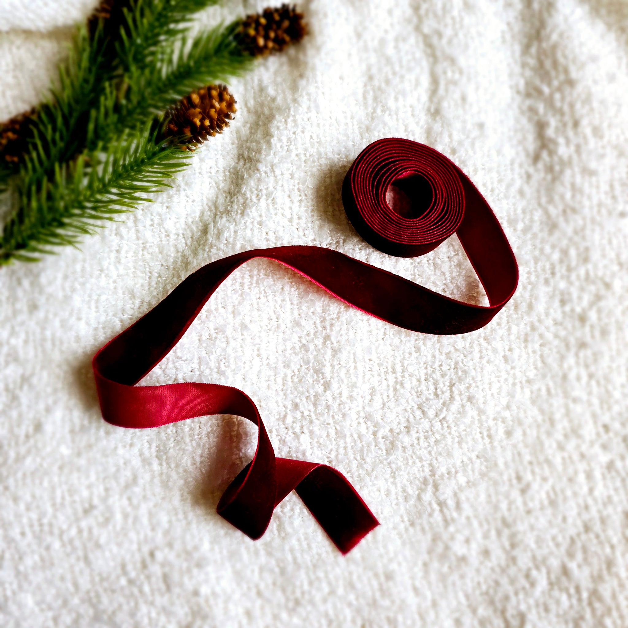 Burgundy Velvet ribbon-2m