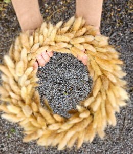 Lagurus Wreath