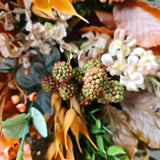 Autumn Rambles